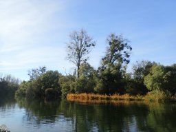 November 2025 - Wintersdorf